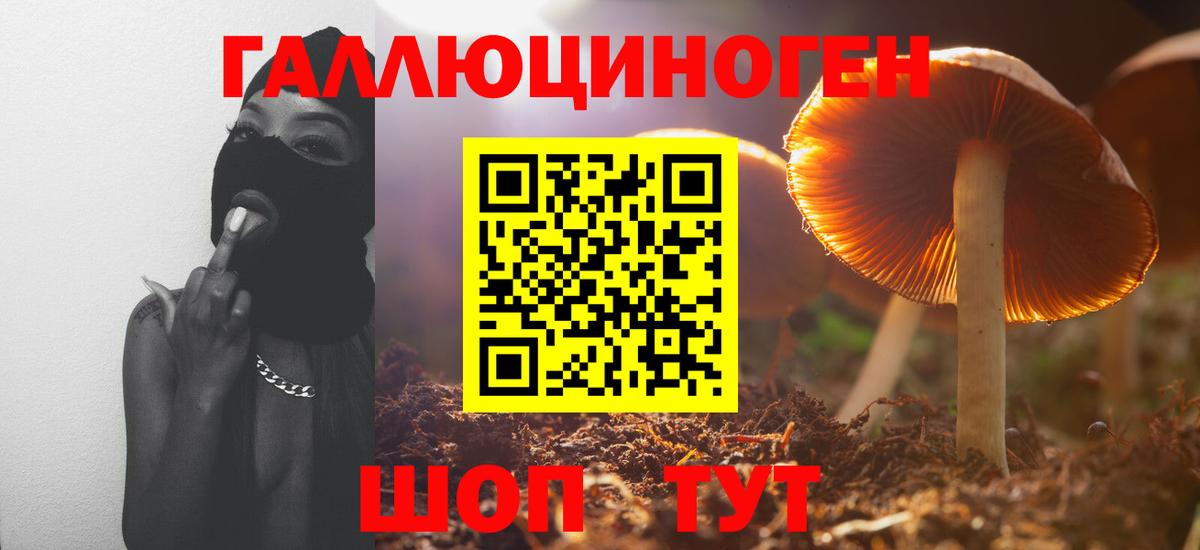 Псилоцибиновые грибы ЛСД Вольск